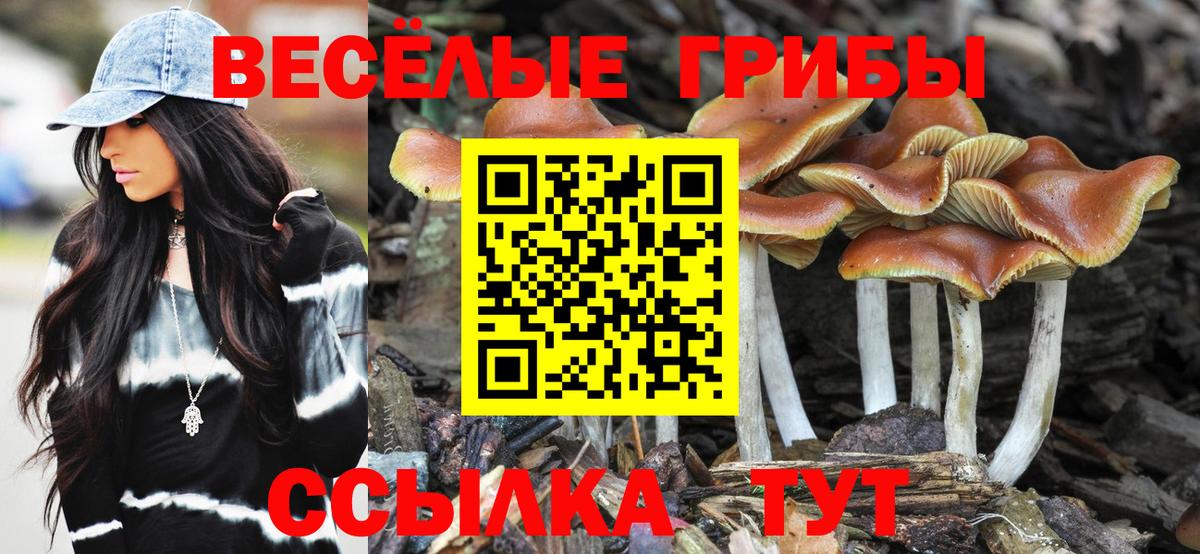Псилоцибиновые грибы ЛСД  Псилоцибиновые грибы Psilocybine cubensis  Вход с VPN  Киселёвск 