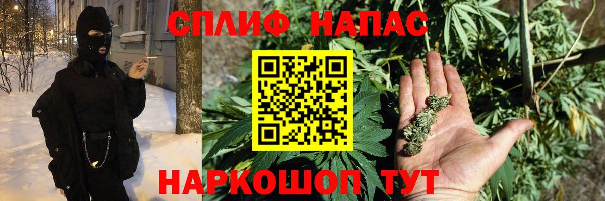 Конопля семена Киселёвск